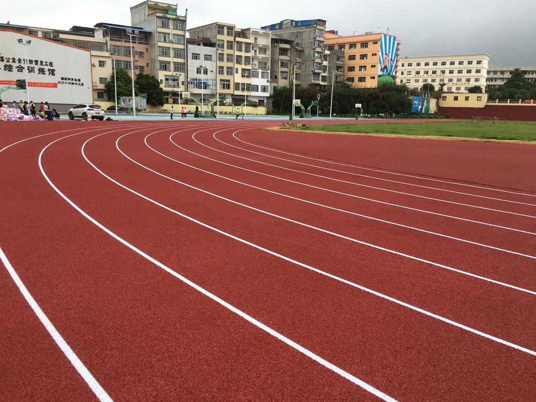 佛山市塑胶跑道材料塑胶跑道材料 - 方案